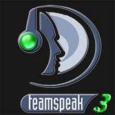 Team speaker 3